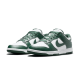 Nike Dunk Low Spartan Zelená